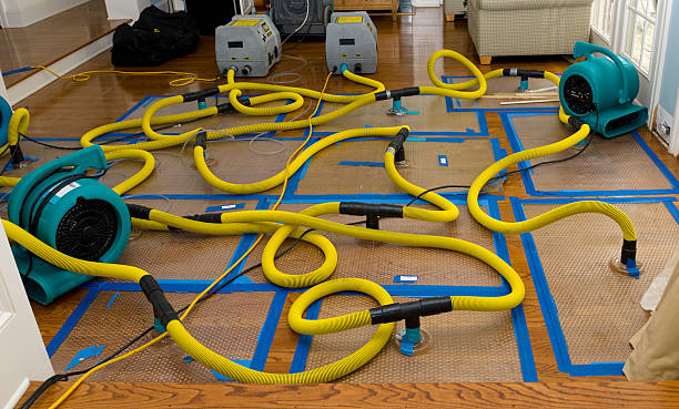 Professional Crawl Space Water Removal technician working in Fingal, ND